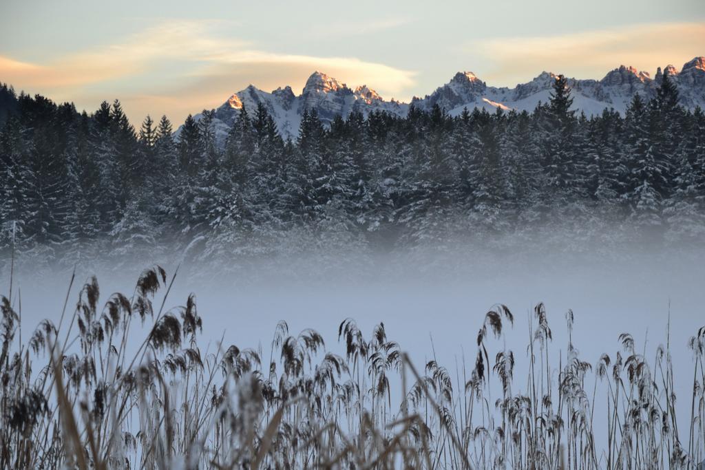Landhaus Am Golfplatz Seefeld w Tirolu Zewnętrze zdjęcie