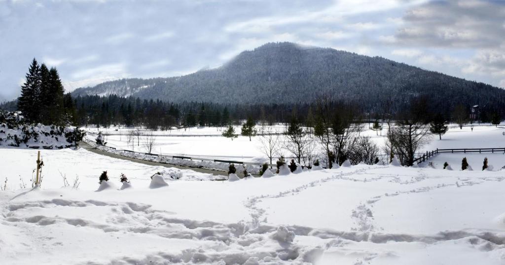 Landhaus Am Golfplatz Seefeld w Tirolu Zewnętrze zdjęcie